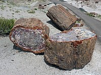 Crystal forest FP (17).JPG